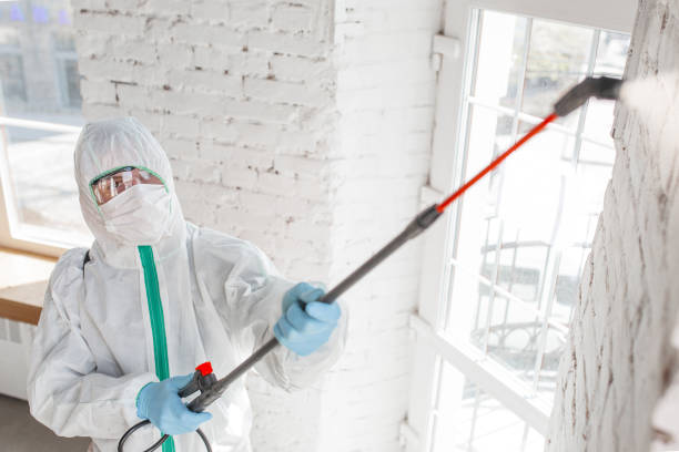 Best Forensic Mold Investigation  in Clifton Forge, VA